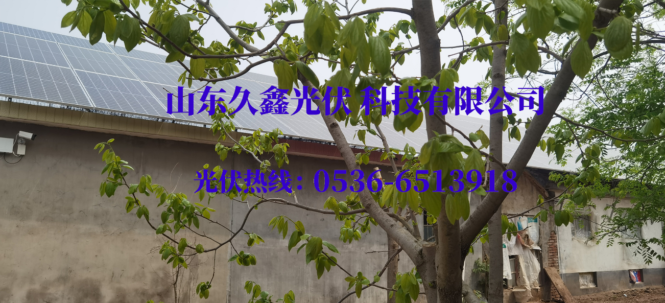 伟意国际(中国区)官方网站