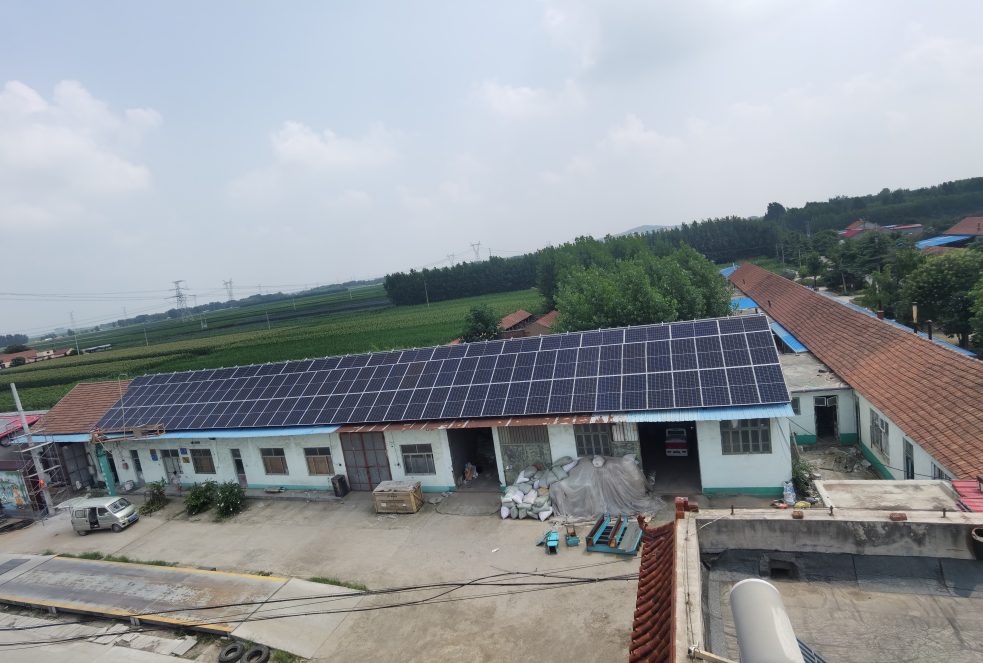 伟意国际(中国区)官方网站
